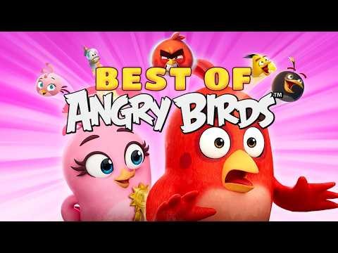 Angry Birds Best Moments with Red and Stella! 🍂