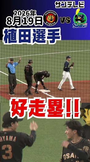 【一瞬のスキを逃さない！】これぞ植田海の神走塁！！（2026年8月19日 阪神ーヤクルト） #サンテレビボックス席