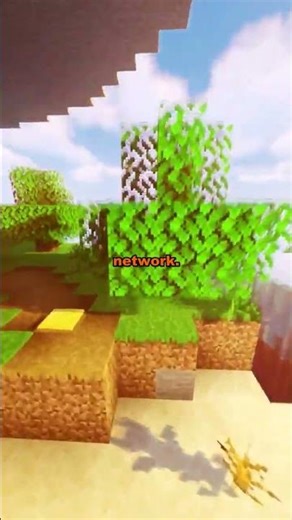 Peer to Peer networks explained