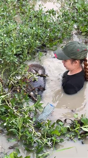 Trapping the world’s biggest arapaima fish with unique bottle water traps #fishing