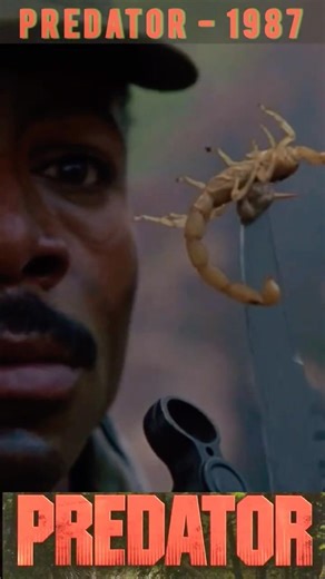 Predator 1987. #predator #movie #movieclips #action #blockbuster #greatfilm #arnoldschwarzenegger