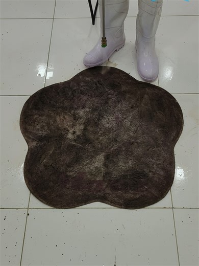 Amazing cleaning satisfying the muddy carpet #satisfyingvideo #asmrcleaningvideo #rugcleaning #asmrsounds #RugCleaning #carpetcleaning #SatisfyingClean #CLEANING