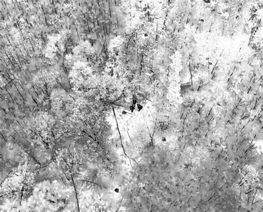 Amelia deputies rescue person lost in woods using thermal drone