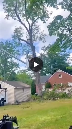 Tree Cutting Accident | Risk Assessment | PPE | Fall Protection | Safety Planning | Property Damage | Bucket Truck Safety | Safety Fails | Safety Fails