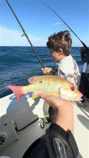 Thoughts on Lane Snapper? #fish #fishing #boat #charter #kids #fyp
