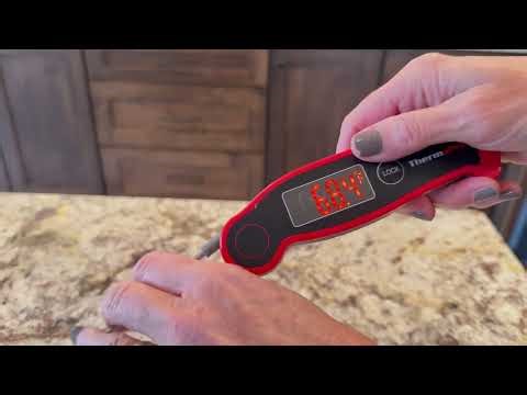 Meat Thermometer Review 🌡️🔥 | ThermoPro TP19 Instant Read
