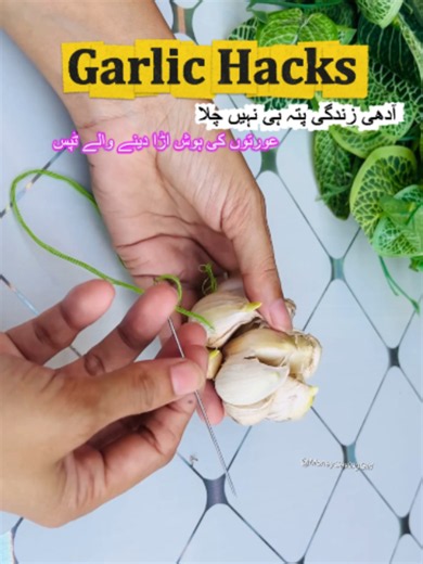 Pass a Needle Through Garlic – Easy Garlic Hack