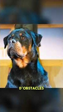 Ce chien a choqué tout le monde 🐕