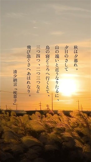 読む瞑想 #瞑想 #マインドフルネス #言葉 #名言 #言葉の力