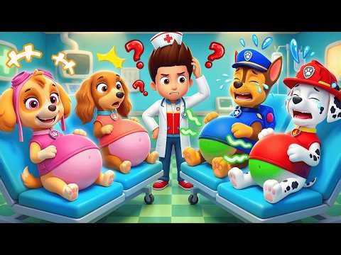 Ryder Please Help!! All Pups Are in Trouble!! | Full Episode! | Paw Patrol Ultimate Rescue