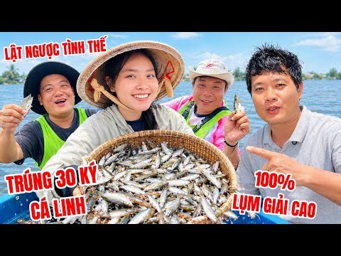 Ốc Bươu Vàng lội nước đổ dớn trúng gần 30 ký cá linh, chắc thắng 100% nhưng…| Khương Dừa