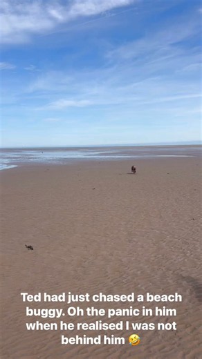 NP Doggy Daycare & Home Boarding - for small social dogs on Reels