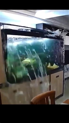 Save Your Aquarium Fish With This Test Kit 🧪 #shorts #ytshorts #amaquarist #aquarium #fishtank