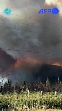 Primeros incendios del año ponen en alerta a la Patagonia argentina