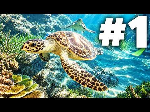 Planet Zoo 2 Gameplay Walkthrough Part 1 - INTRO (Campaign)