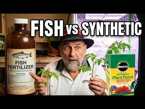 Fish Fertilizer TEST - The Results are Surprising!