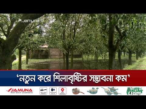 ঝড়-শিলাবৃষ্টিতে ঝরে পড়েছে ২০ ভাগের বেশি হাঁড়িভাঙ্গা আমের গুটি | Rangpur | Harivanga | JamunaTV