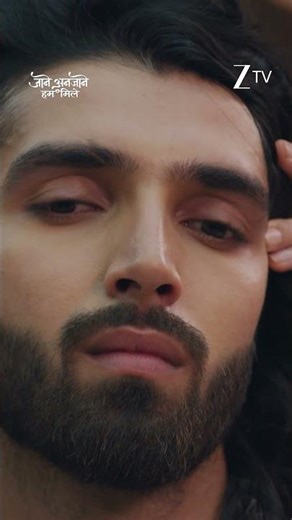 Jaane Anjaane Hum Mile | Ep 372 | Zee TV HD