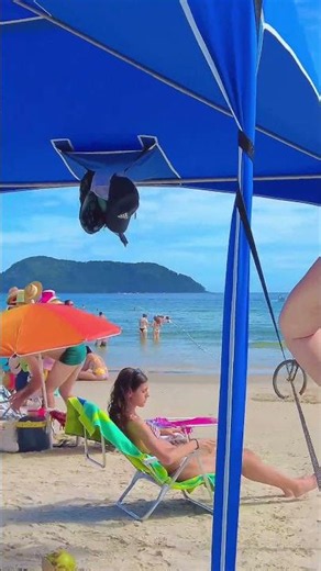 🇧🇷 Brazilian Beach a Beautiful Day