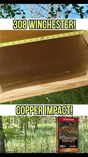 DEEP IMPACT! 308 Winchester Copper Impact Ballistics Gel Test
