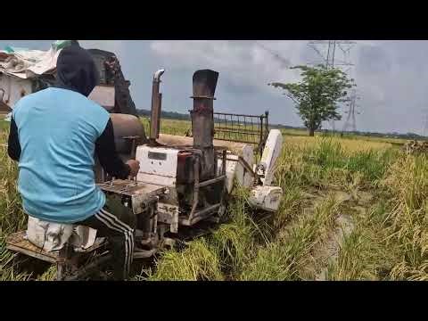 NEXT-LEVEL FARMING! HIGH-TECH MACHINE TRANSFORMS RICE HARVESTING! - Agriculture Farming