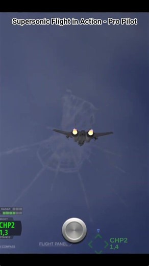 Chasing the Skies: Combat Flight Simulator