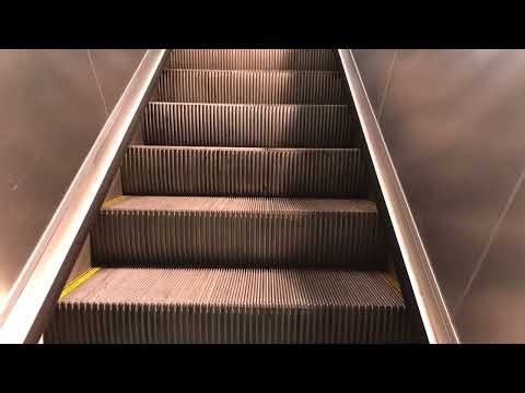 Long Unknown Escalator (To Street) - TTC Don Mills Subway Station - North York ON