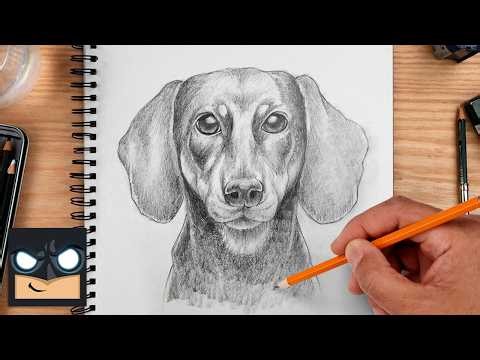 How to Draw Dog | Dachshund Drawing Tutorial