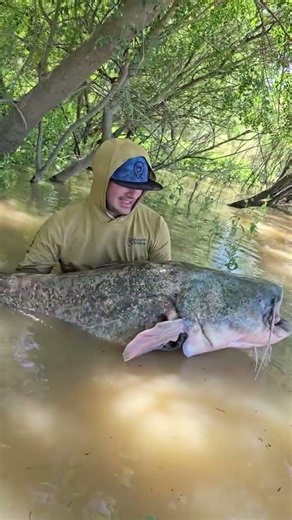 #fishing #pesca #bigfish #monsterfish #catfish #siluro