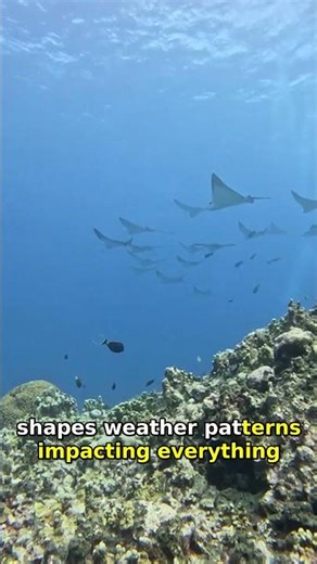 Ocean Currents: How They Shape Our Climate