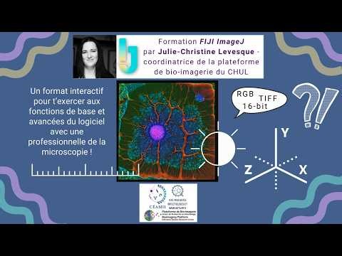 Formation FIJI ImageJ | De la prise en main aux analyses avancées en bio-imagerie