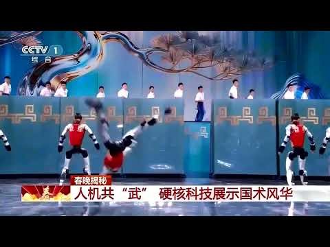 China's humanoid robots dance, fight in Lunar New Year showtime