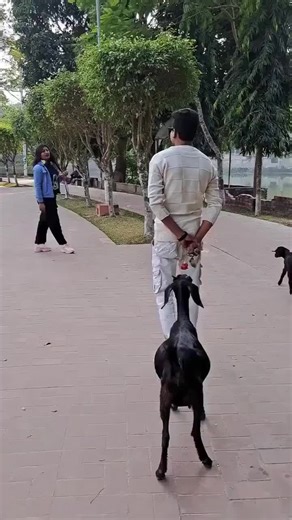 LIVE Incentive Program for LIVE FEST 2026