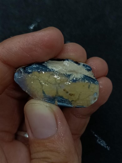 Opalised Bivalve Mollusc Shell Mesozoic Cretaceous Fossil – 37.6ct Lightning Ridge Opal | Natural Australian Fossil - Etsy Australia