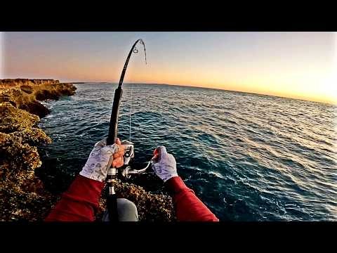 FISH EVERYWHERE Solo Catch and Cook