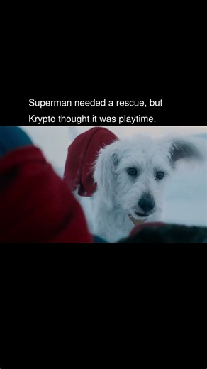Superman called for help, and Krypto arrived with absolutely no bedside manners.