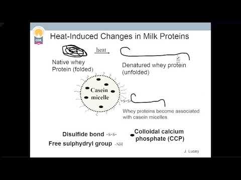 Developing beverages with dairy proteins | Dairy Manufacturing Webinar Program