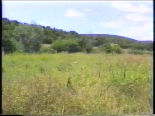 VID_20260727_005446_243