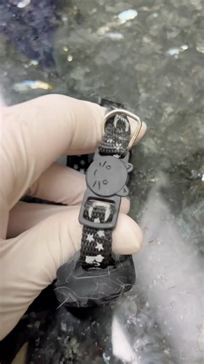 Microchip vs AirTags for Pets: A Comprehensive Comparison