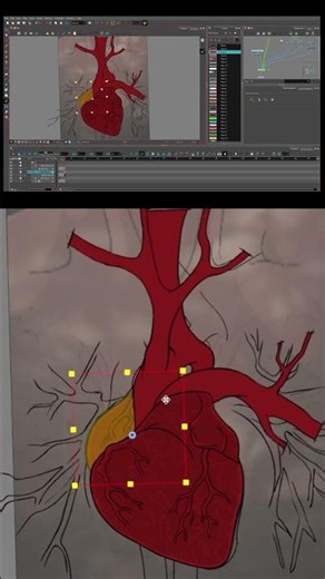 Heart Beat Timelapse | Werewolf Transformation
