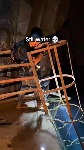 Explore the Wonders of Sea Life on Ship Life Adventures