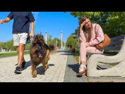 Will My Dogs Spot Me On The Street?