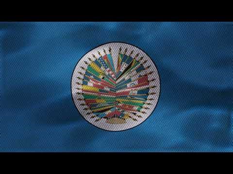 Organization of American States Flag Waving | 4K Ultra HD | 5 Minutes ( No Copyright )