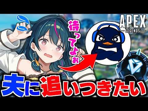 【コンジット専】TIE Ruに追いつきたいソロランク！【APEX】