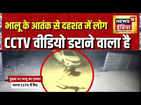 Chhattisgarh के कांकेर में भालू के हमले का वीडियो आया सामने | Bear Attack | CCTV | Hindi News