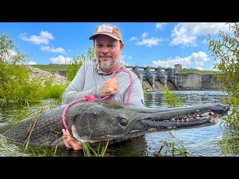 These 7-Foot River Monsters Woke Up in the Flood and Wouldn't Stop Eating
