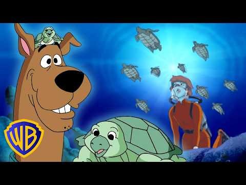 Save the Turtles! 🐢🌎 | What's New, Scooby-Doo? | #KidsCartoons @wbkids​