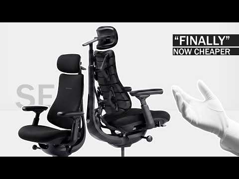 World's Most Hyped Chair Just Got Affordable I Libernovo Omni SE