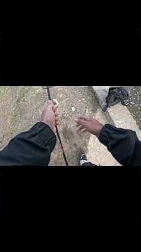 First Cast = Bass Catch🎣