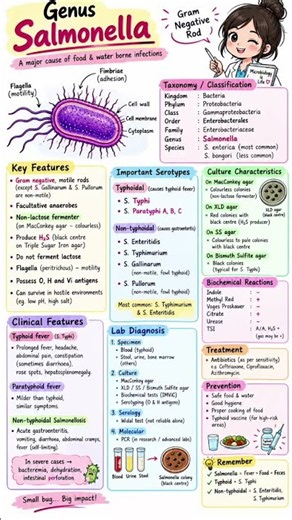 🔬 Salmonella CulturemTests & Lab Diagnosis #salmonella #labtechnician #dmlt #bmlt #ytshorts #shorts